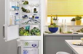 Zanussi kjøleskap temperatur
